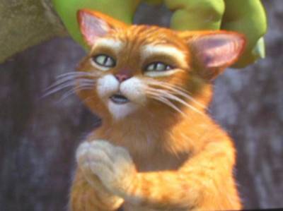 ma petite chat